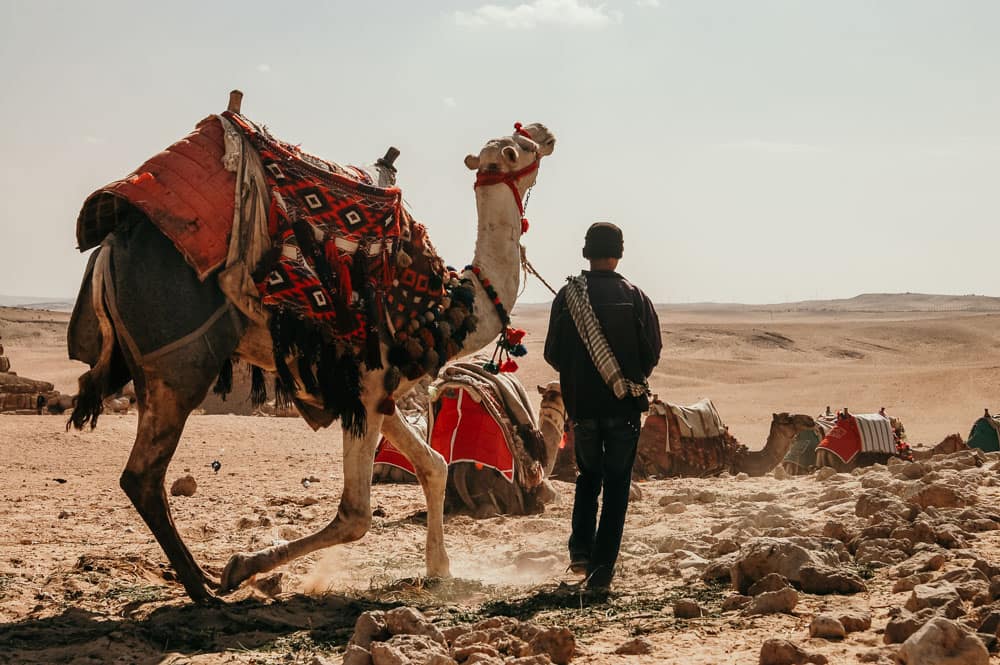 reportage-fotografico-piramidi-giza-Fabrizio-Musolino-Fotografo-1 reportage-fotografico-piramidi-giza-Fabrizio-Musolino-Fotografo-1