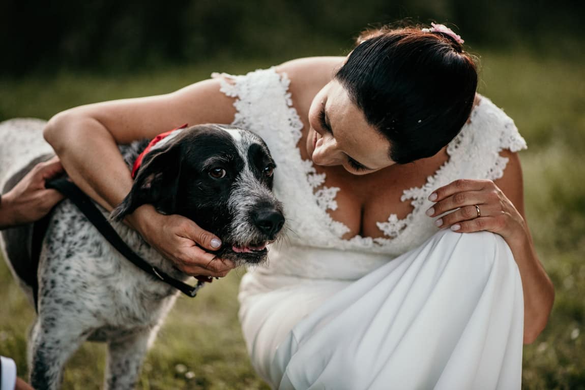 sposa-e-cane-Fabrizio-Musolino-Fotografo matrimonio tema cani