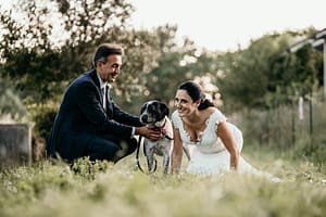 matrimonio tema cani